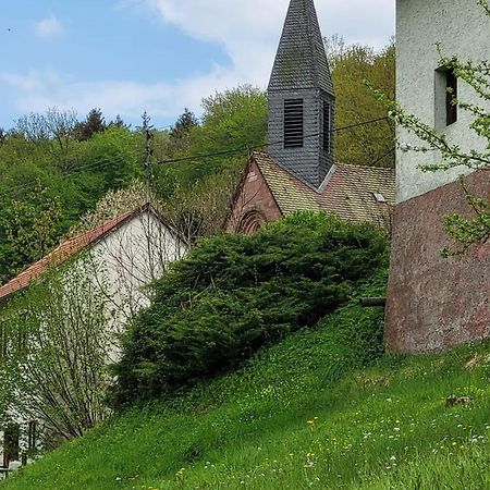 Family House Lägenhet Eberbach  Exteriör bild