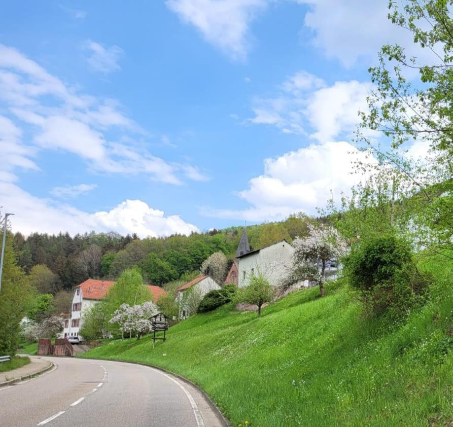 Family House Lägenhet Eberbach  Exteriör bild