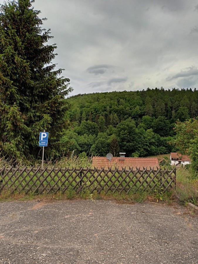 Family House Lägenhet Eberbach  Exteriör bild
